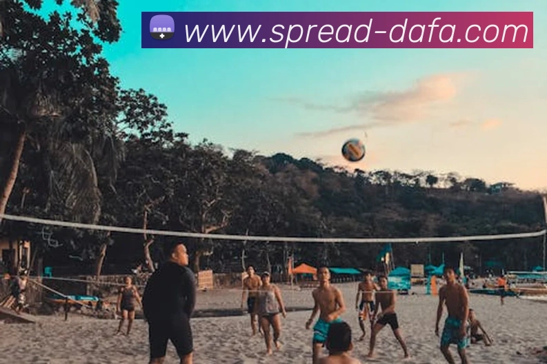 大发官网发展历程